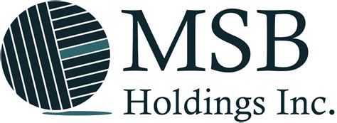 msb holdings